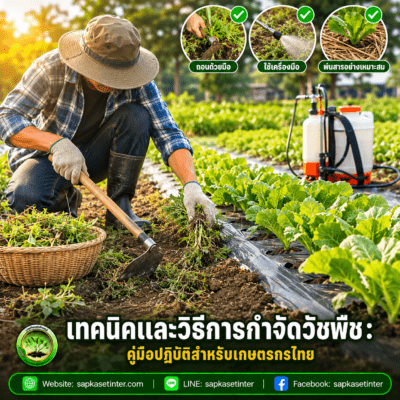วิธีการกำจัดวัชพืช