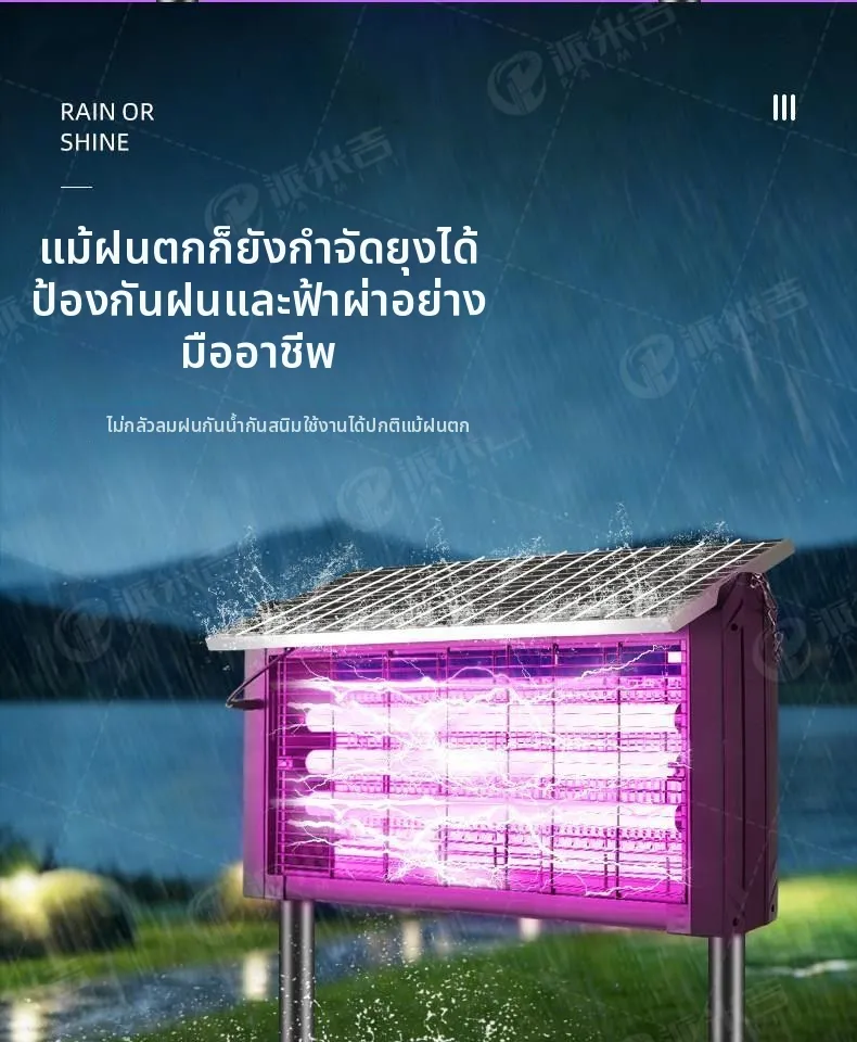 Sapkasetinter