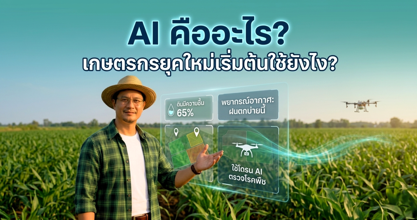 เครื่องมือ AI ใช้ได้จริง คืออะไร?